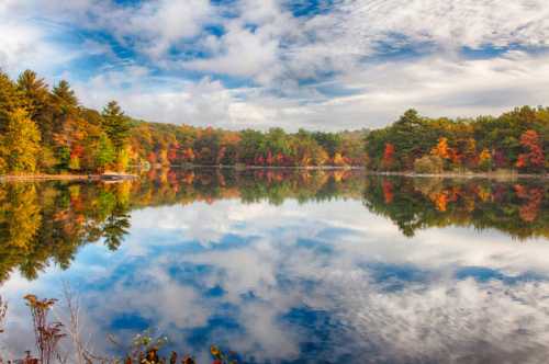 A serene lake reflecting colorful autumn trees and a cloudy sky, creating a picturesque landscape.