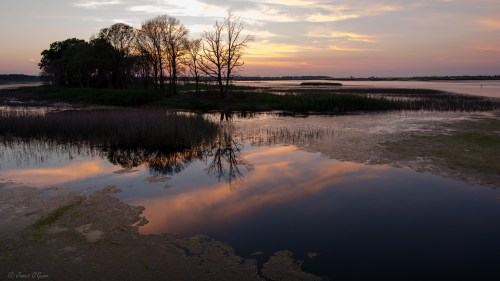 A serene landscape at sunset, featuring trees reflected in calm water with soft clouds and a colorful sky.