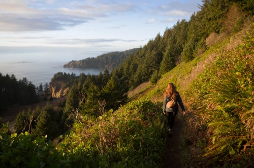 A person walks along a coastal trail surrounded by lush greenery and trees, with the ocean in the background.
