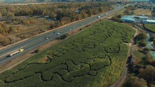 Aerial view of a corn maze shaped like various characters, alongside a highway and surrounded by trees.