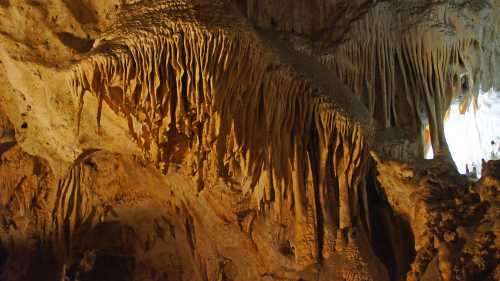 Stalactites hang from the ceiling of a cave, illuminated by soft light, showcasing intricate rock formations.