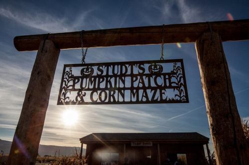 Sign for "Studt's Pumpkin Patch & Corn Maze" with a sunset in the background, framed by wooden posts.