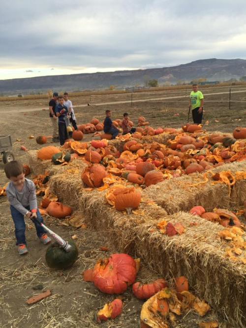 Children and adults gather around a pumpkin patch, surrounded by pumpkins and hay bales, with a cloudy sky above.