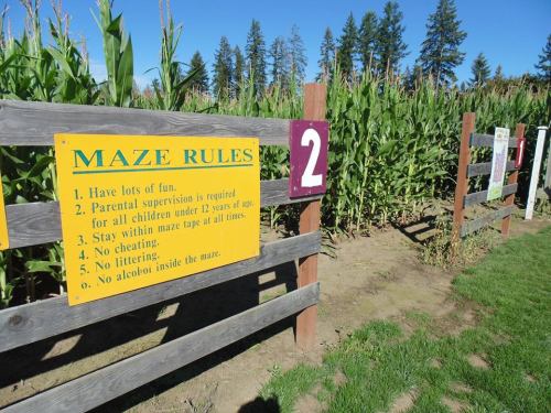 Sign with maze rules, including fun guidelines and safety instructions, next to a corn maze surrounded by trees.