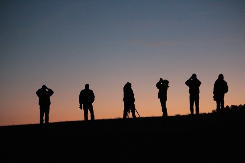Silhouettes of photographers against a twilight sky, capturing the sunset on a grassy hill.