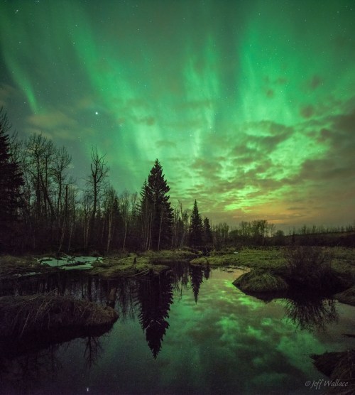 A serene landscape featuring a river reflecting vibrant green auroras and a starry sky, surrounded by trees.