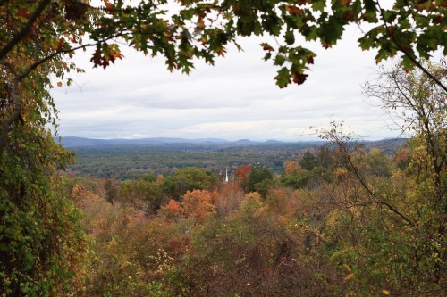 A scenic view of rolling hills and trees in autumn colors under a cloudy sky.