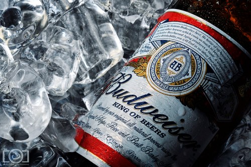 A close-up of a Budweiser beer bottle resting on ice, with condensation on the label.