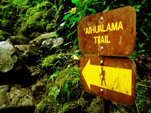 A weathered sign for the Aihualama Trail, pointing left, surrounded by lush greenery and rocky terrain.