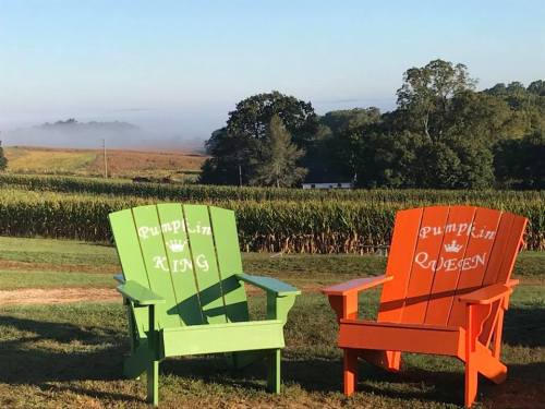 Two colorful adirondack chairs labeled "Pumpkin King" in green and "Pumpkin Queen" in orange, set against a misty landscape.
