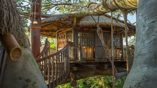 A treehouse nestled among large trees, featuring a thatched roof and wooden balcony, surrounded by lush greenery.