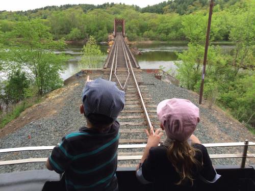 Two children in train hats stand on a train, pointing at a distant bridge over a river surrounded by greenery.