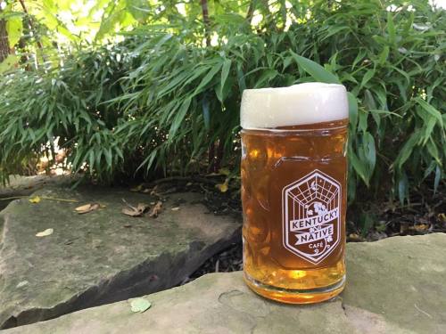 A frothy beer in a glass mug sits on a stone surface, surrounded by lush green foliage.