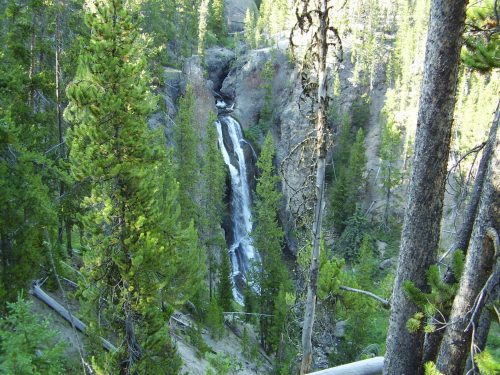 A scenic view of a waterfall cascading through a lush green forest surrounded by tall trees.