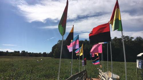 A field with various flags flying, including pride and solidarity flags, under a blue sky with scattered clouds.