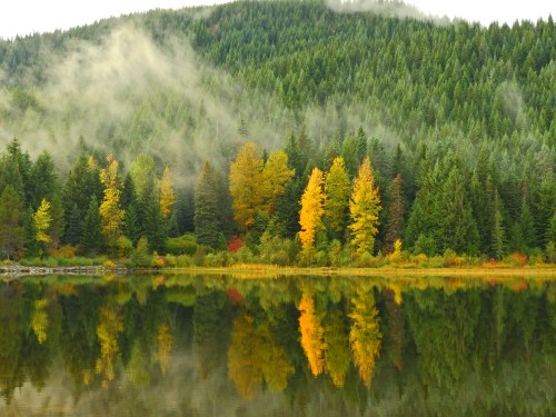 A serene lake reflects vibrant autumn trees and misty green hills under a cloudy sky.