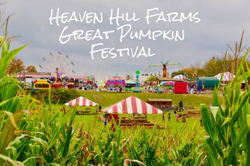 A vibrant pumpkin festival scene with colorful tents, rides, and people enjoying activities amidst cornfields.