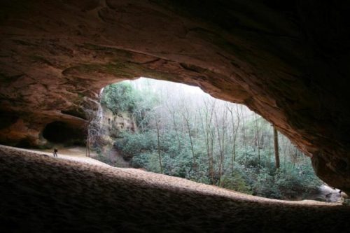 A person stands inside a large cave, with light streaming in and lush greenery visible outside.