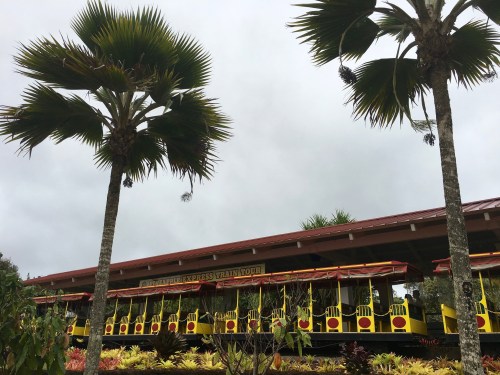 A colorful tour train under a cloudy sky, surrounded by tropical palm trees and vibrant plants.