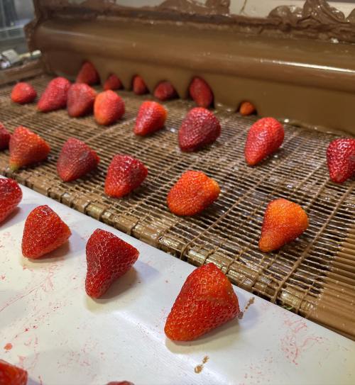 Fresh strawberries arranged on a conveyor belt, with a chocolate coating process in the background.
