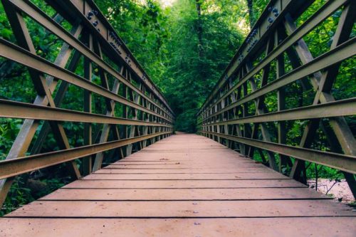 A wooden bridge stretches into a lush green forest, framed by metal railings on either side.