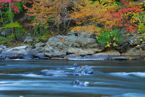 A serene river flows past colorful autumn trees and rocky banks, creating a peaceful natural scene.