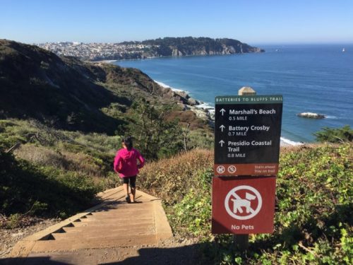 A child in a pink jacket walks down a wooden path with a signpost indicating nearby trails and no pets allowed.
