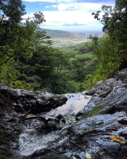 A cascading waterfall flows over rocks, surrounded by lush green trees and a distant view of mountains and sky.