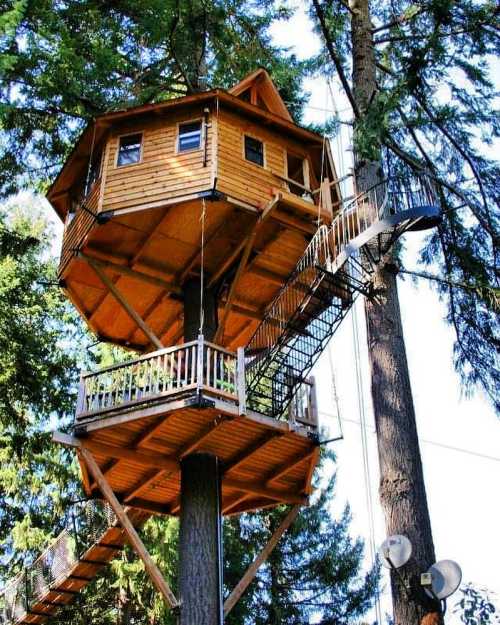 A wooden treehouse perched high in a tree, featuring multiple levels and a spiral slide, surrounded by tall trees.