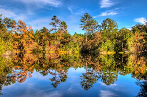 A serene lake reflecting colorful autumn trees under a clear blue sky.