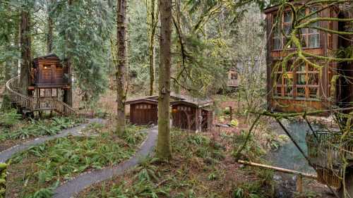 A serene forest scene featuring wooden treehouses, winding paths, and lush greenery.