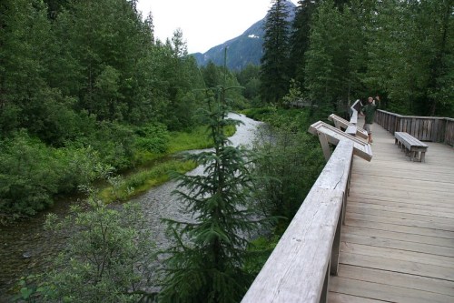A wooden walkway alongside a river, surrounded by lush greenery and mountains in the background.