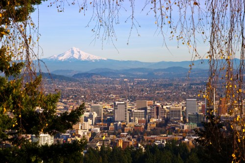 A panoramic view of a city skyline with a snow-capped mountain in the background, framed by tree branches.