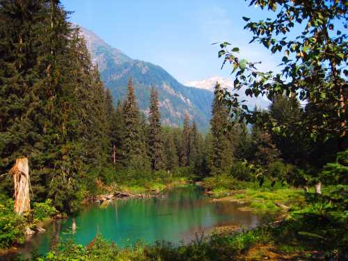 A serene landscape featuring a turquoise river surrounded by lush green trees and mountains under a clear blue sky.