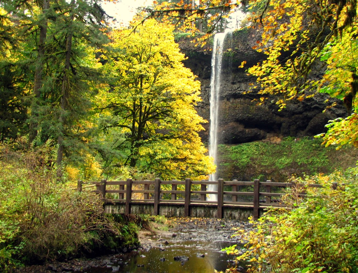 Here Are The Best Hikes In Oregon For Fall Color This Autumn
