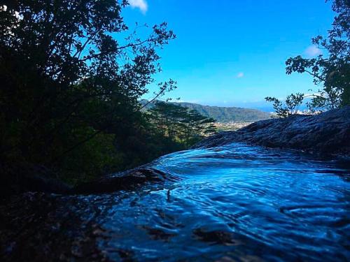 A serene view of a flowing stream over rocks, surrounded by lush greenery and a clear blue sky.