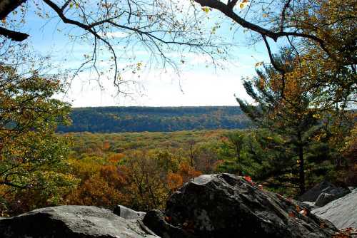 A scenic view of a colorful forest valley framed by trees and rocks under a clear blue sky.