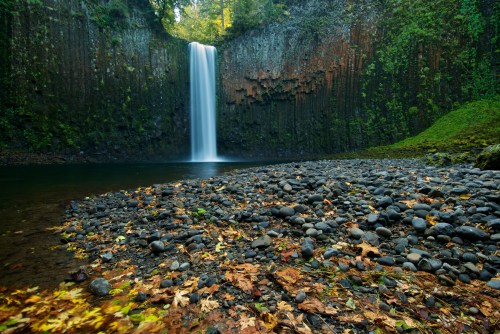 A serene waterfall cascades into a rocky pool, surrounded by lush greenery and autumn leaves.