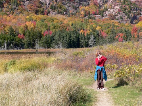A person stands on a path in a colorful autumn landscape, surrounded by vibrant trees and tall grasses.