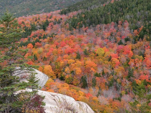 A vibrant autumn landscape featuring trees in shades of red, orange, and yellow, with rocky outcrops in the foreground.