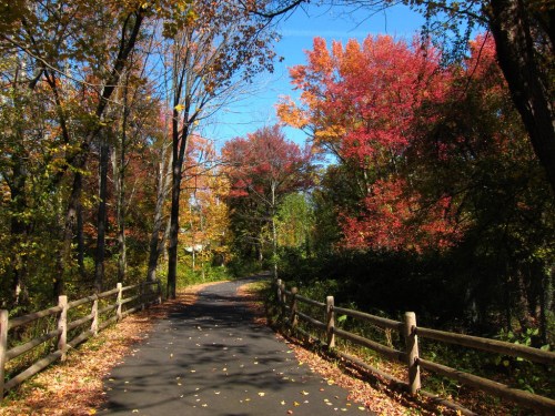A scenic pathway lined with trees displaying vibrant autumn foliage under a clear blue sky.