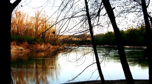 A serene river scene framed by trees, with soft sunlight illuminating the water and surrounding landscape.