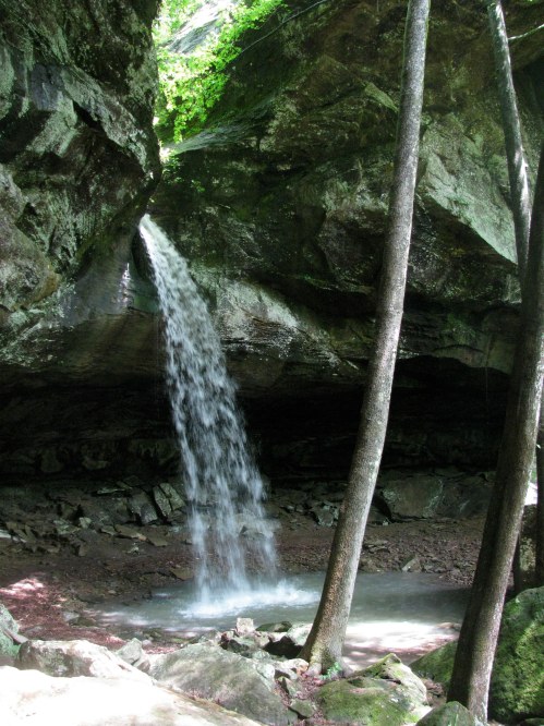 A serene waterfall cascades from rocky cliffs, surrounded by lush greenery and tall trees.