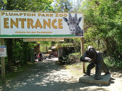 Sign for Plumpton Park Zoo entrance with a giraffe image, featuring a gorilla statue and visitors in the background.