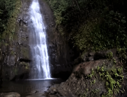 A serene waterfall cascading down rocky cliffs, surrounded by lush greenery and a calm pool at its base.