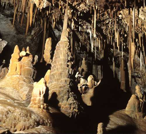 Stalactites and stalagmites in a dark cave, showcasing unique rock formations and textures.