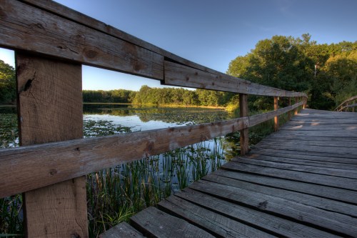 A wooden bridge extends over a calm lake, surrounded by lush greenery and trees under a clear blue sky.