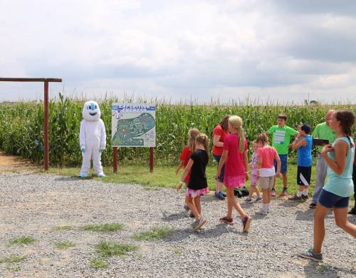 A group of children walking towards a cornfield, with a person in a white mascot costume standing by a map.