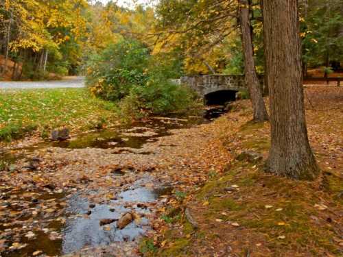 A serene autumn scene featuring a stream, fallen leaves, and a stone bridge surrounded by colorful trees.