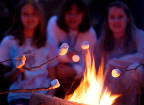 Three people sit around a campfire, roasting marshmallows on sticks as flames flicker in the evening light.